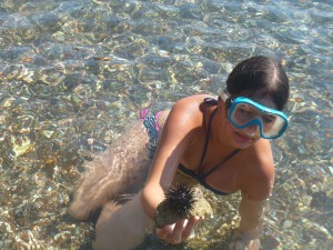 Oursin à Vivari (Nauplie)