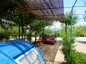 Olympie, une place à l'ombre