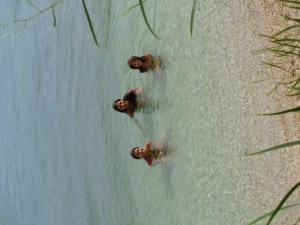 Derniers barbotages (Igoumenitsa)